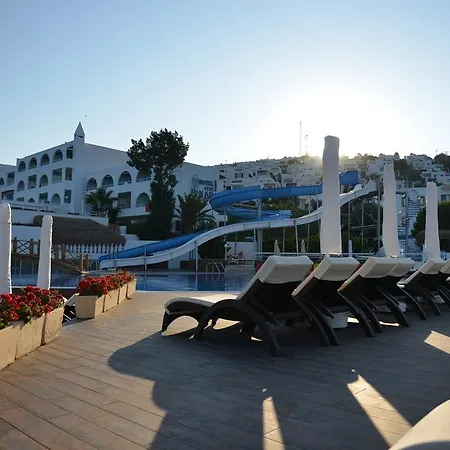 Otel Woxxie