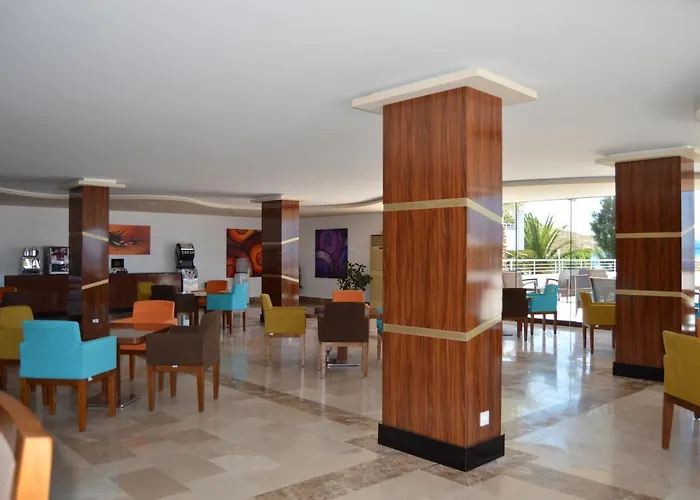 Woxxie تورغوتْريس