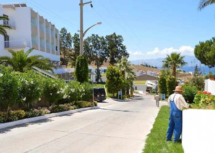 Woxxie تورغوتْريس