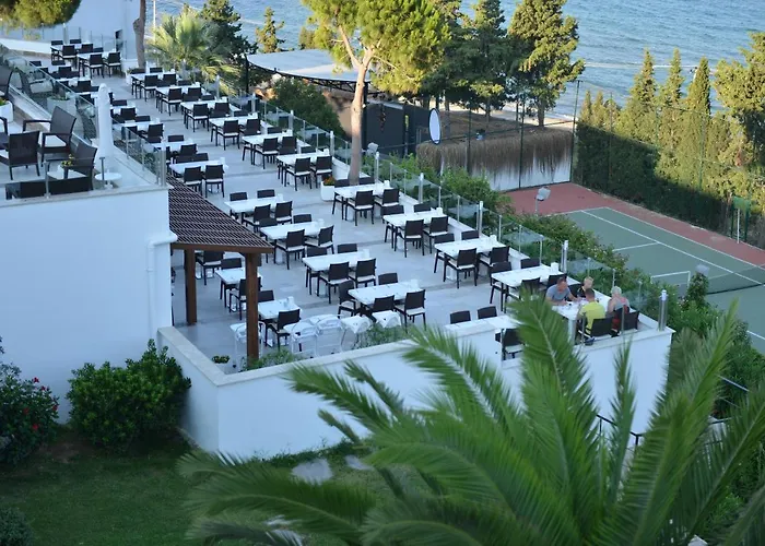 Woxxie تورغوتْريس